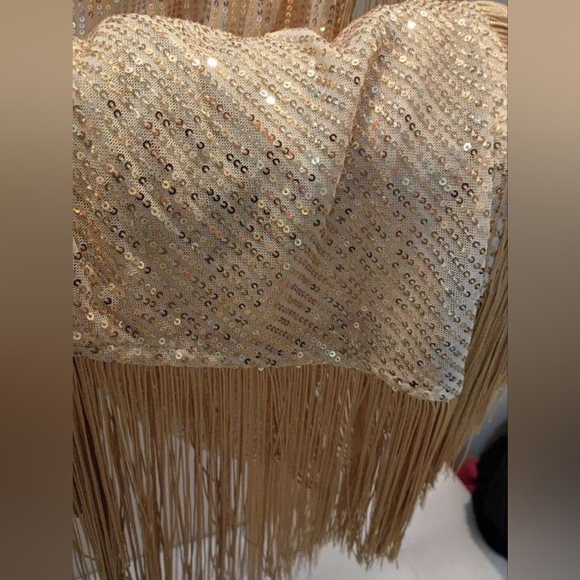 Gold Fringe Sequin Evening Dress - Pluswear - Picture 5 of 9